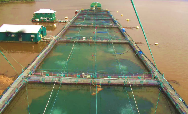 Advanced Canadian Life Support System A Proved Defense Against Harmful Algae Blooms